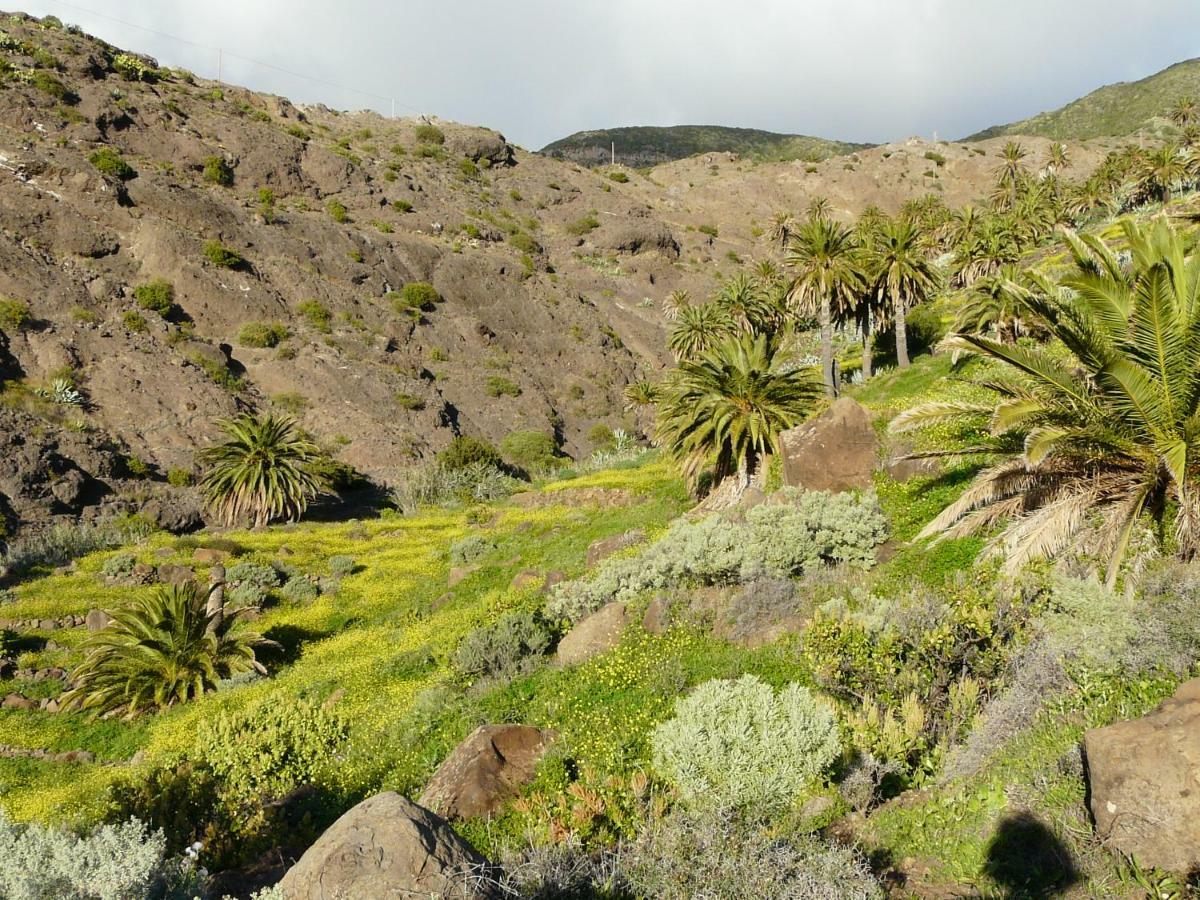 El Pirguan Holiday House, Your Oasis In La Gomera バジェエルモソ エクステリア 写真
