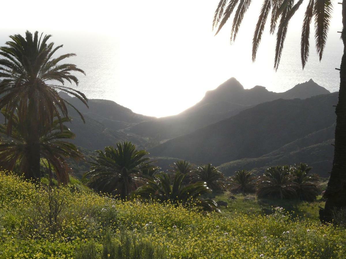 El Pirguan Holiday House, Your Oasis In La Gomera バジェエルモソ エクステリア 写真