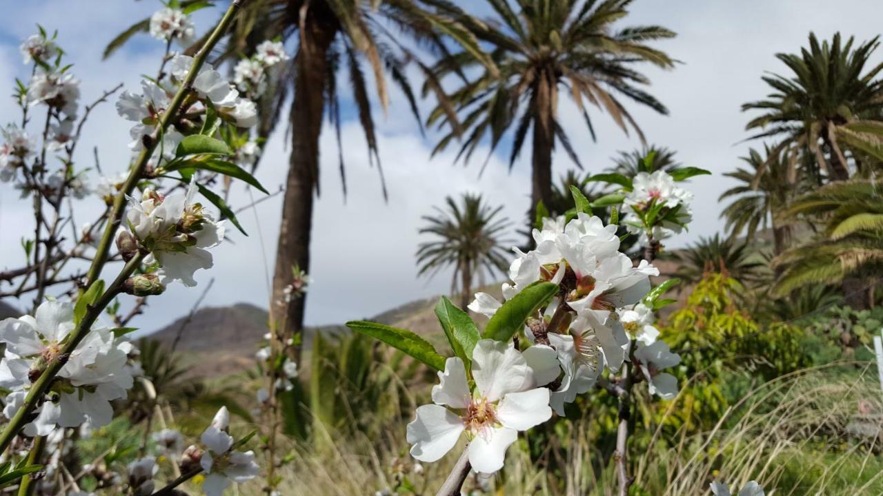 El Pirguan Holiday House, Your Oasis In La Gomera バジェエルモソ エクステリア 写真