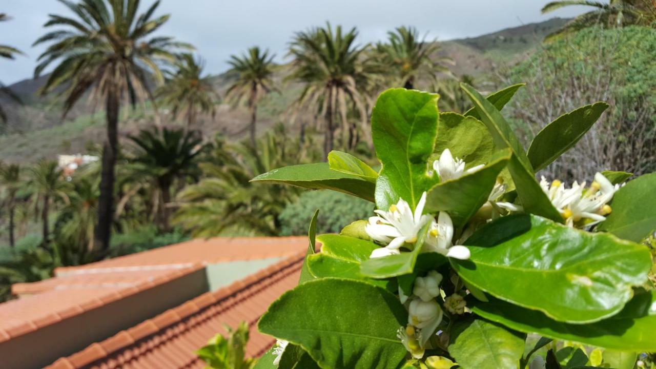 El Pirguan Holiday House, Your Oasis In La Gomera バジェエルモソ エクステリア 写真
