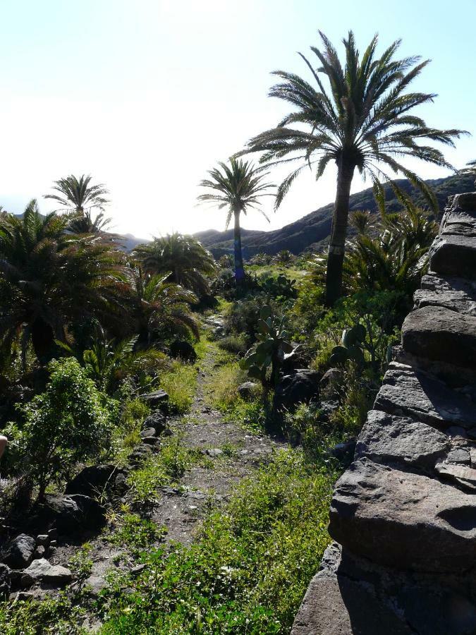El Pirguan Holiday House, Your Oasis In La Gomera バジェエルモソ エクステリア 写真