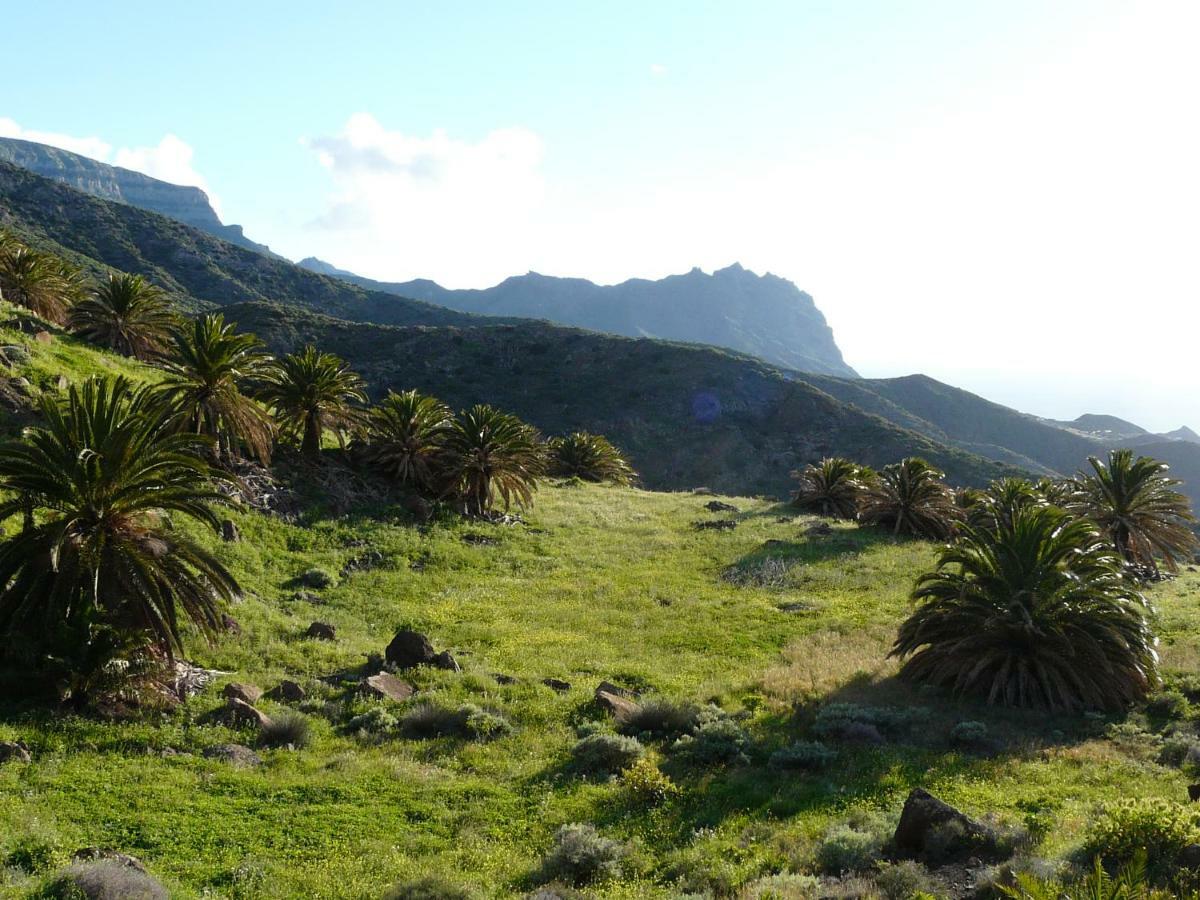 El Pirguan Holiday House, Your Oasis In La Gomera バジェエルモソ エクステリア 写真