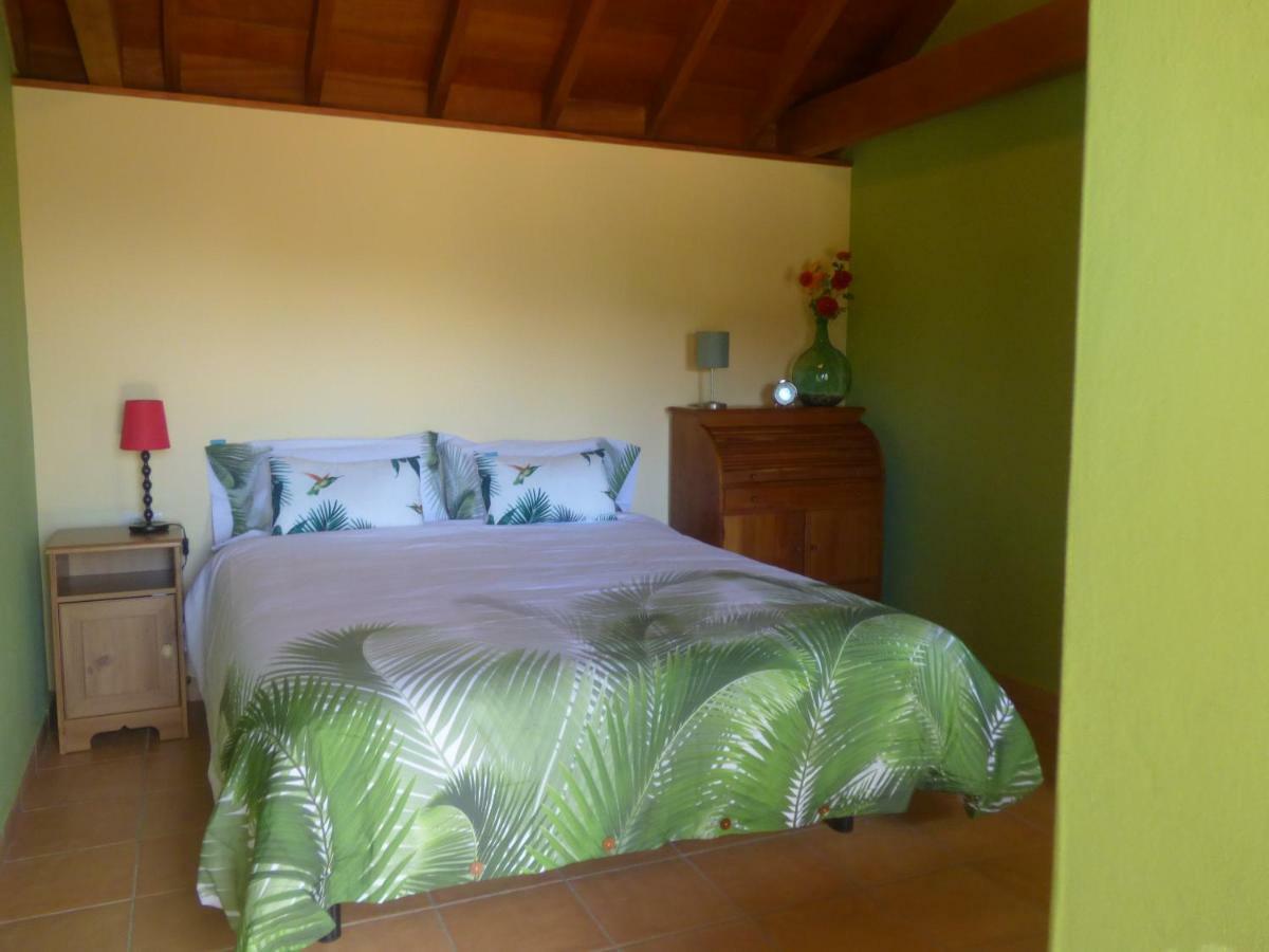 El Pirguan Holiday House, Your Oasis In La Gomera バジェエルモソ エクステリア 写真