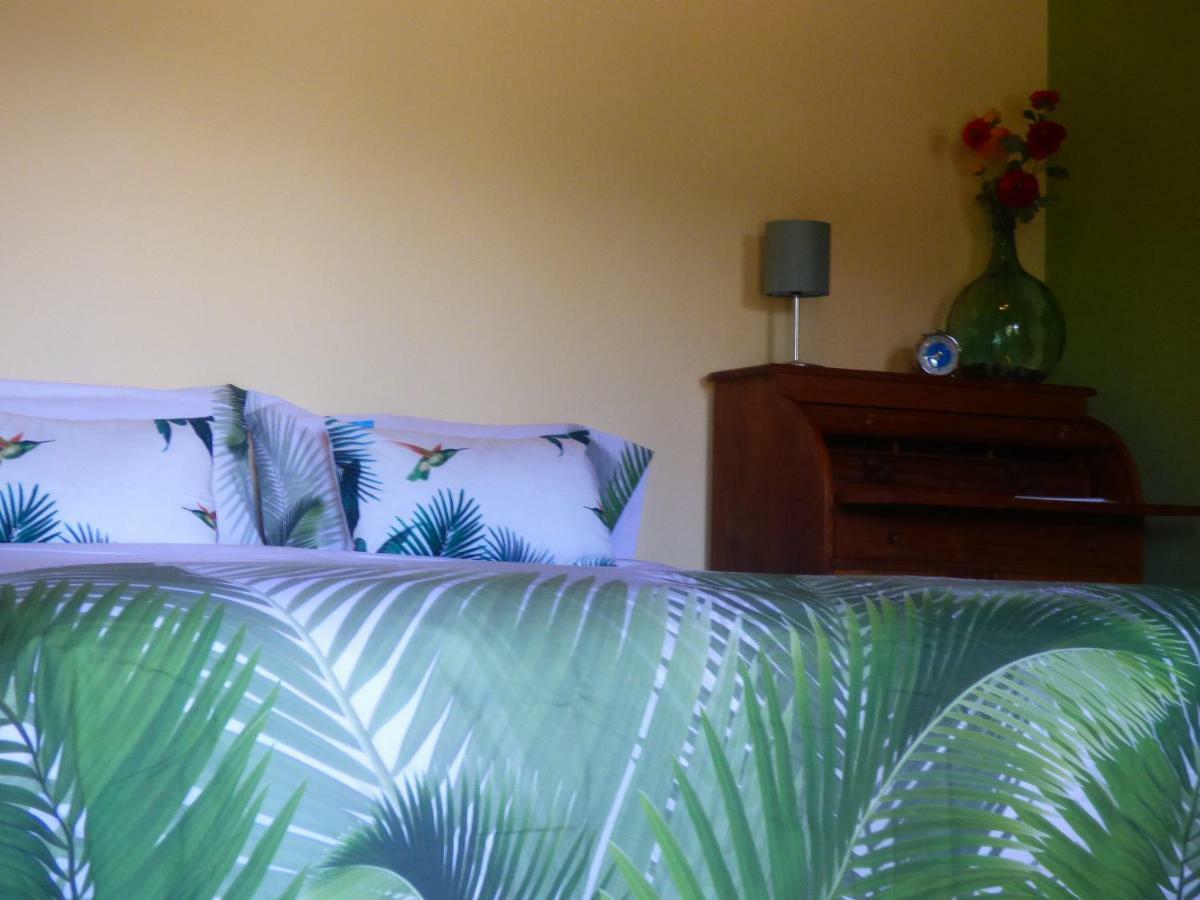 El Pirguan Holiday House, Your Oasis In La Gomera バジェエルモソ エクステリア 写真